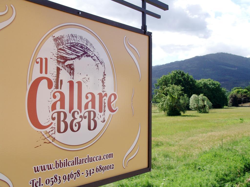 Il Callare Capannori Esterno foto